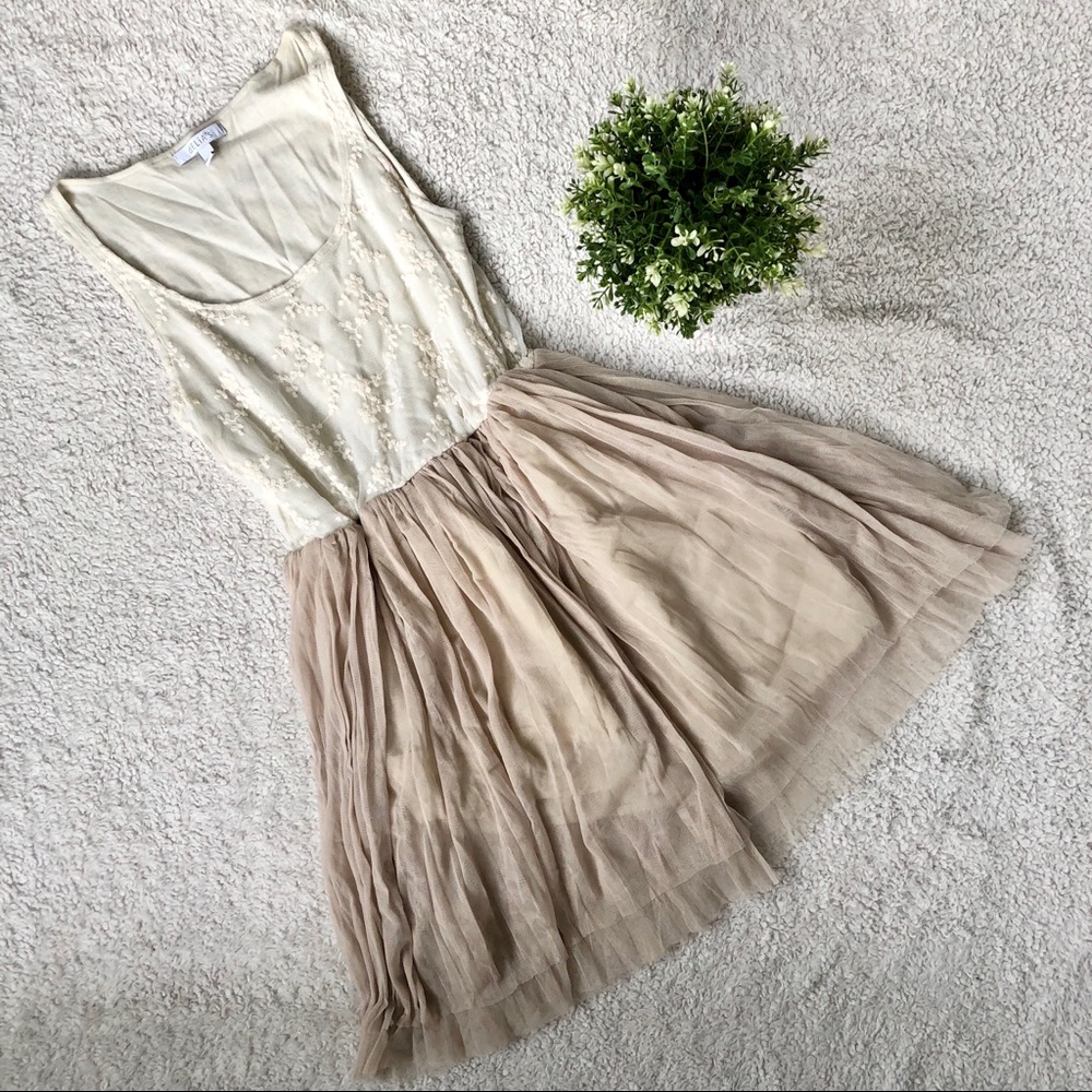 Lace & Tulle Dress